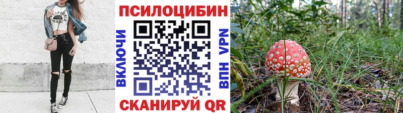 Галлюциногенные грибы мухоморы  где купить наркотик  Суворов 